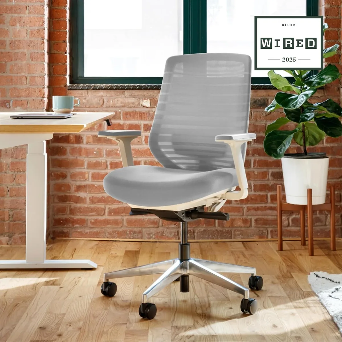 Branch Ergonomic Chair - A Versatile Desk Chair with Adjustable Lumbar Support, Breathable Mesh Backrest, and Smooth Wheels - Experience Optimal Comfort and Support - Pebble - White